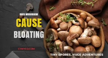 Exploring the Link Between Mushrooms and Bloating: A Digestive Dilemma
