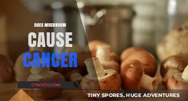 Exploring the Myth: Do Mushrooms Really Cause Cancer?