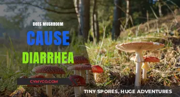 Exploring the Link: Can Mushrooms Trigger Diarrhea?