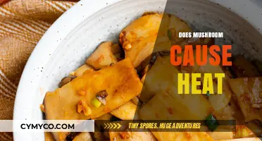 Exploring the Spicy Side of Mushrooms: Do They Cause Heat?