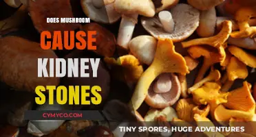 Exploring the Link: Mushrooms and Kidney Stone Formation