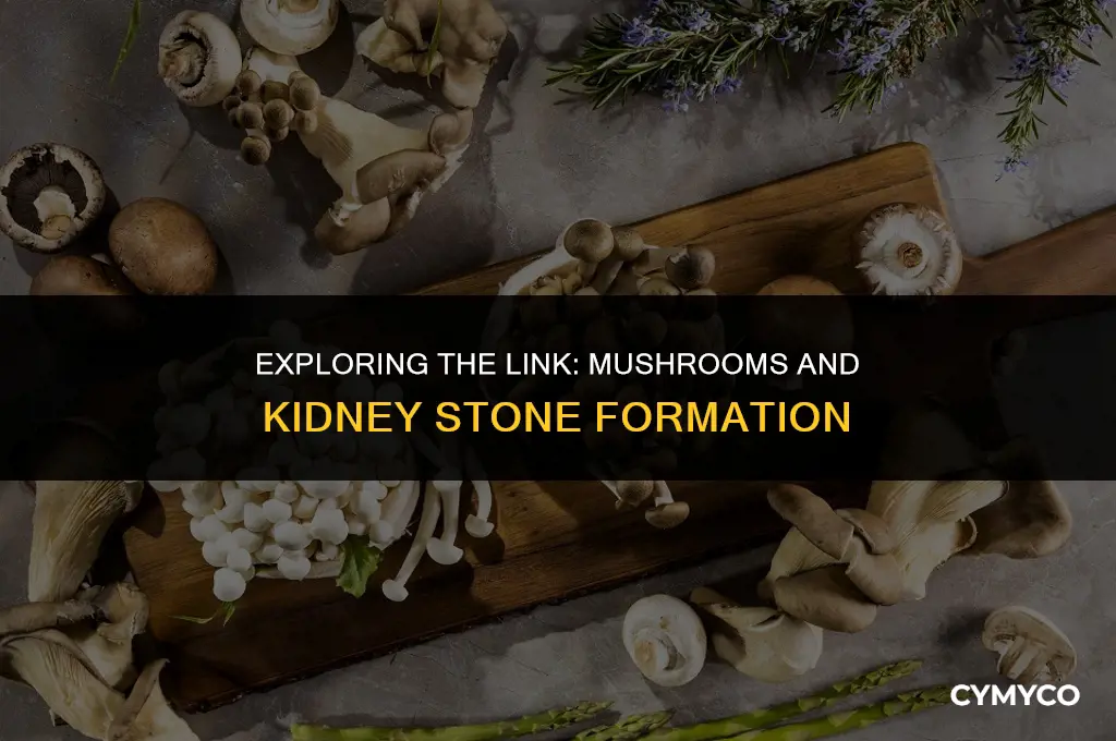 does mushroom cause kidney stones
