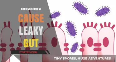 Exploring the Link Between Mushrooms and Leaky Gut Syndrome