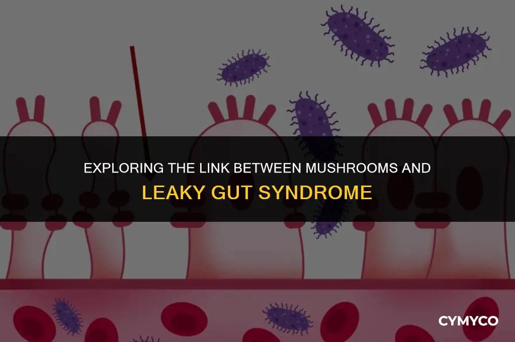 does mushroom cause leaky gut