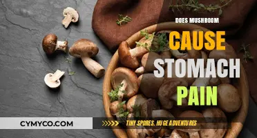 Exploring the Link Between Mushroom Consumption and Stomach Discomfort