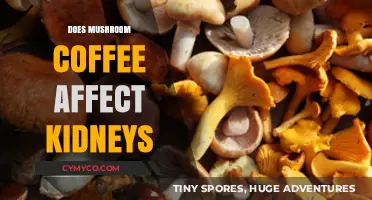 Exploring the Renal Impact of Mushroom Coffee: A Comprehensive Guide