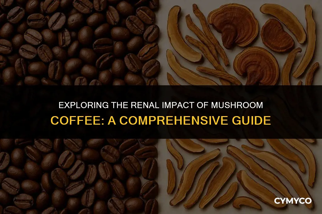 does mushroom coffee affect kidneys