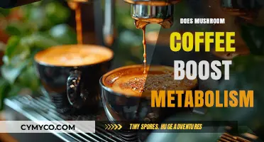 Exploring the Metabolic Benefits of Mushroom Coffee: A Comprehensive Guide
