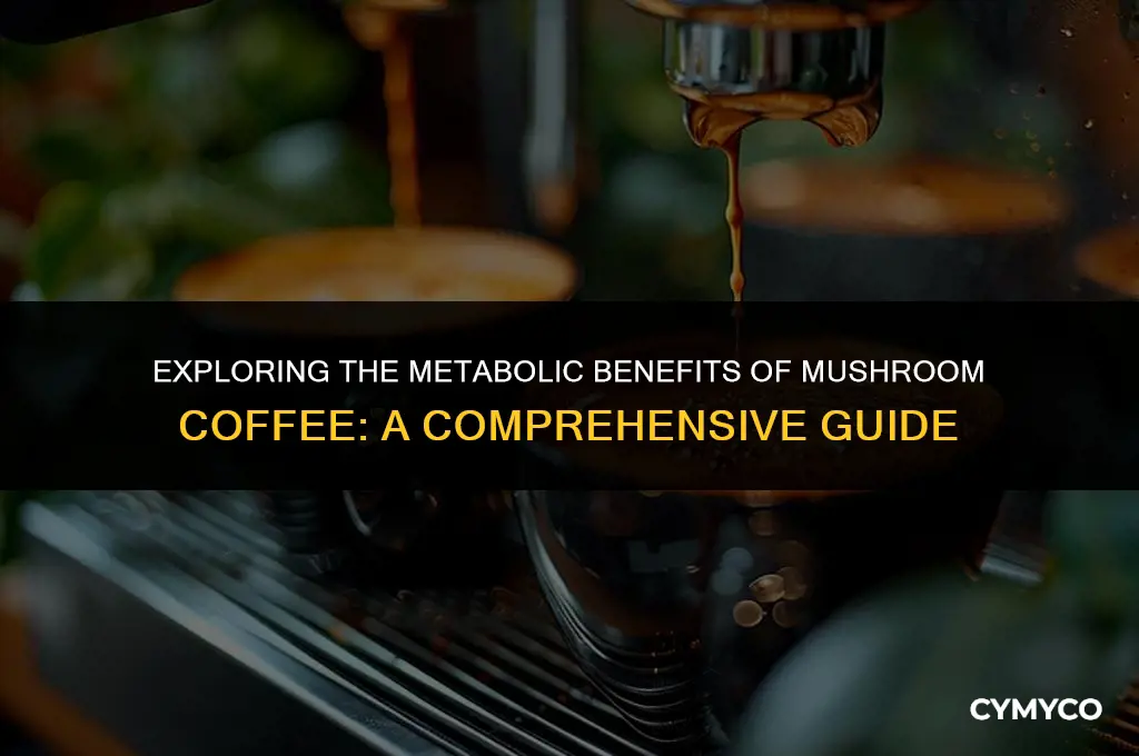 does mushroom coffee boost metabolism