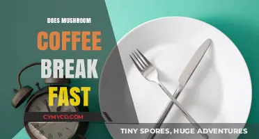 Exploring the Fasting Impact of Mushroom Coffee: A Comprehensive Guide
