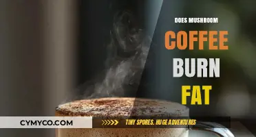 Exploring the Fat-Burning Potential of Mushroom Coffee