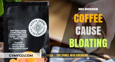 Exploring the Effects of Mushroom Coffee on Digestive Health