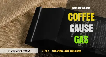 Exploring the Effects: Does Mushroom Coffee Cause Gas?