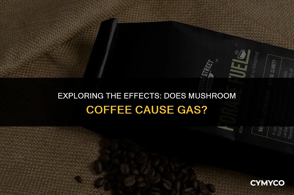 does mushroom coffee cause gas