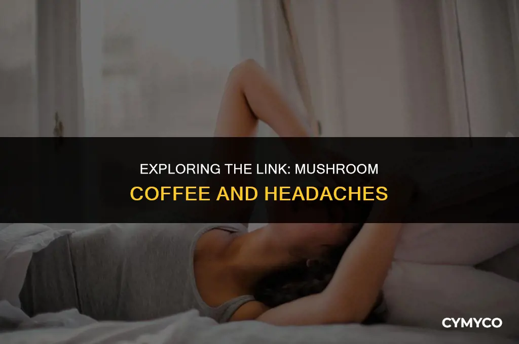does mushroom coffee cause headaches