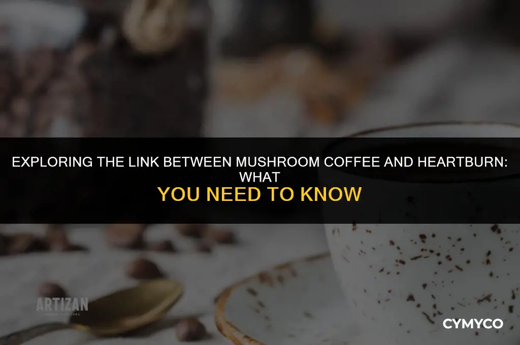does mushroom coffee cause heartburn