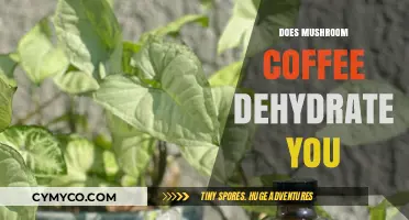Exploring the Hydration Effects of Mushroom Coffee: A Comprehensive Guide
