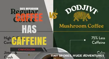Exploring the Buzz: Does Mushroom Coffee Contain Caffeine?