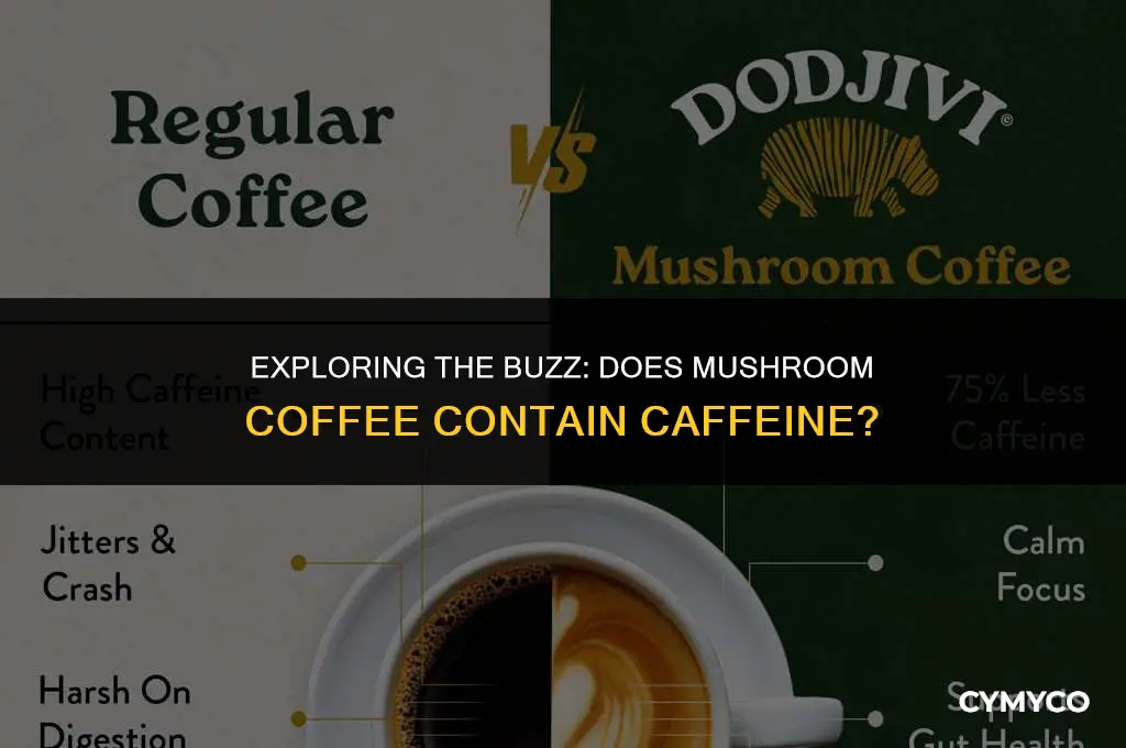 does mushroom coffee has caffeine