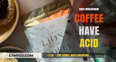 Exploring the Acidity Levels in Mushroom Coffee: A Comprehensive Guide
