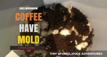 Exploring the Mold Mystery in Mushroom Coffee: Facts and Myths