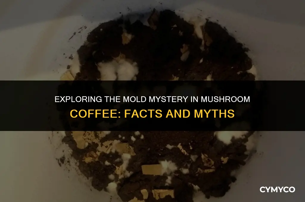 does mushroom coffee have mold