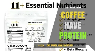 Exploring the Protein Content in Mushroom Coffee: A Nutritional Insight