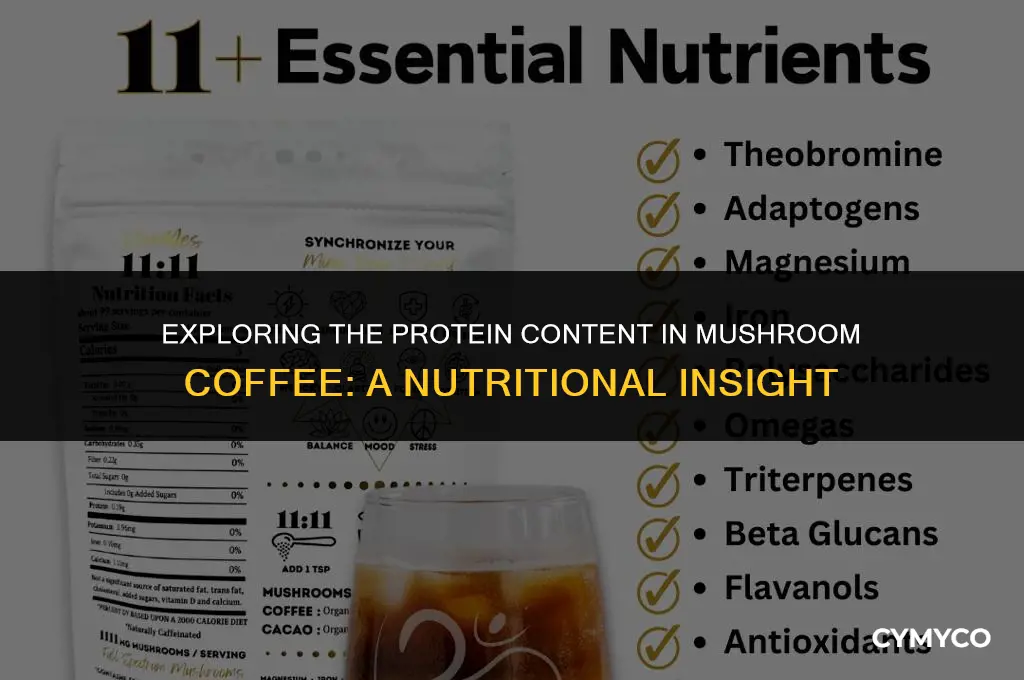 does mushroom coffee have protein