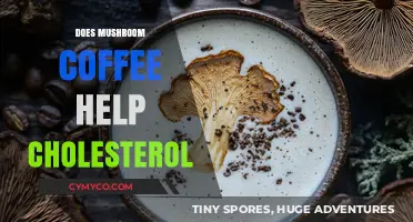Exploring the Potential Benefits of Mushroom Coffee on Cholesterol Levels