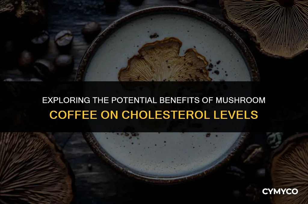 does mushroom coffee help cholesterol