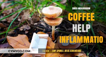 Exploring the Anti-Inflammatory Benefits of Mushroom Coffee