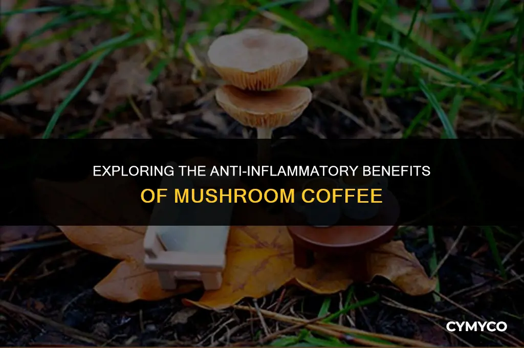 does mushroom coffee help inflammation