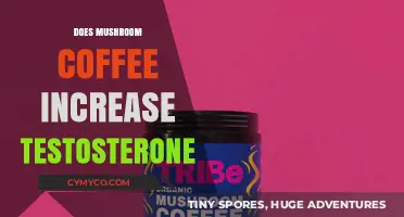Exploring the Testosterone-Boosting Potential of Mushroom Coffee