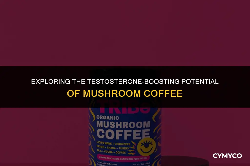 does mushroom coffee increase testosterone