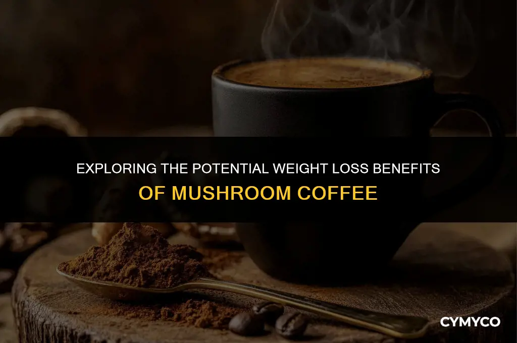does mushroom coffee lose weight