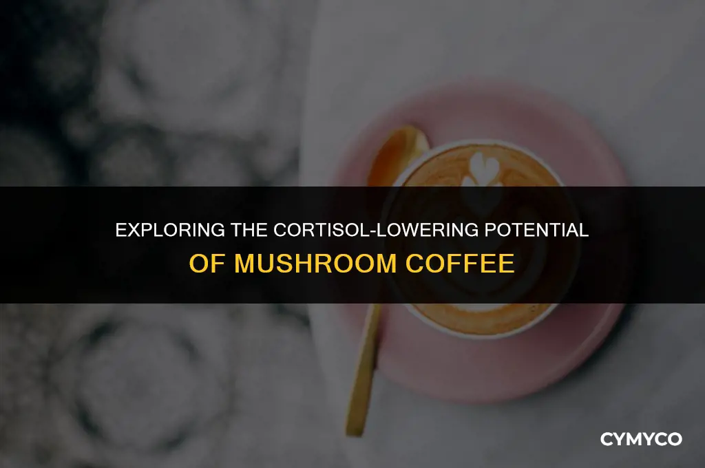does mushroom coffee lower cortisol