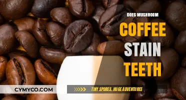 The Truth About Mushroom Coffee: Does It Stain Teeth?