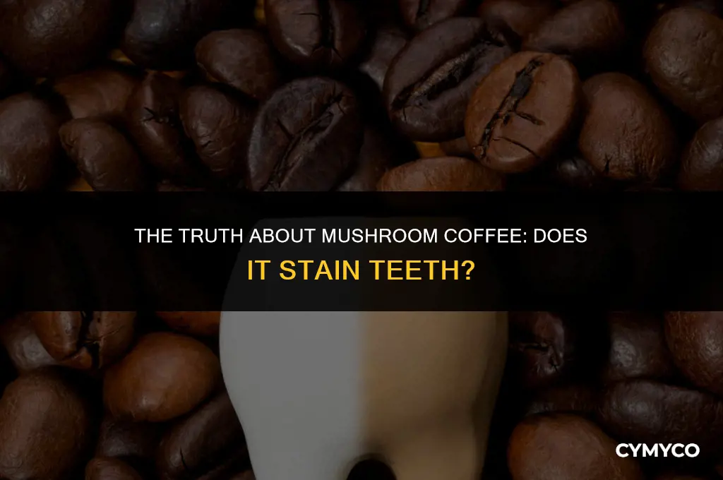 does mushroom coffee stain teeth
