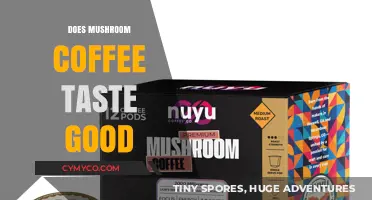Exploring the Flavor: Does Mushroom Coffee Really Taste Good?