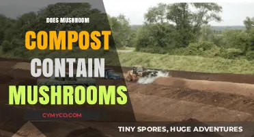 Exploring the Myth: Mushroom Compost and Its Fungal Contents