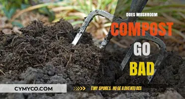 The Shelf Life of Mushroom Compost: Does It Go Bad?