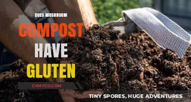 Exploring Gluten Presence in Mushroom Compost: A Comprehensive Guide