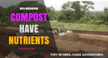 Unlocking the Nutrient Potential of Mushroom Compost for Your Garden