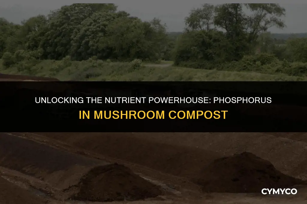 does mushroom compost have phosphorus