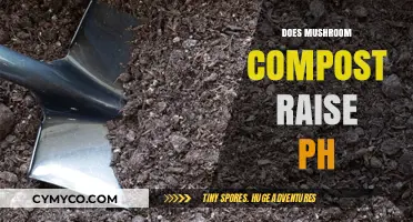Exploring the pH Impact of Mushroom Compost on Soil Health