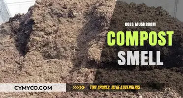 Unveiling the Truth: Does Mushroom Compost Really Have a Strong Odor?