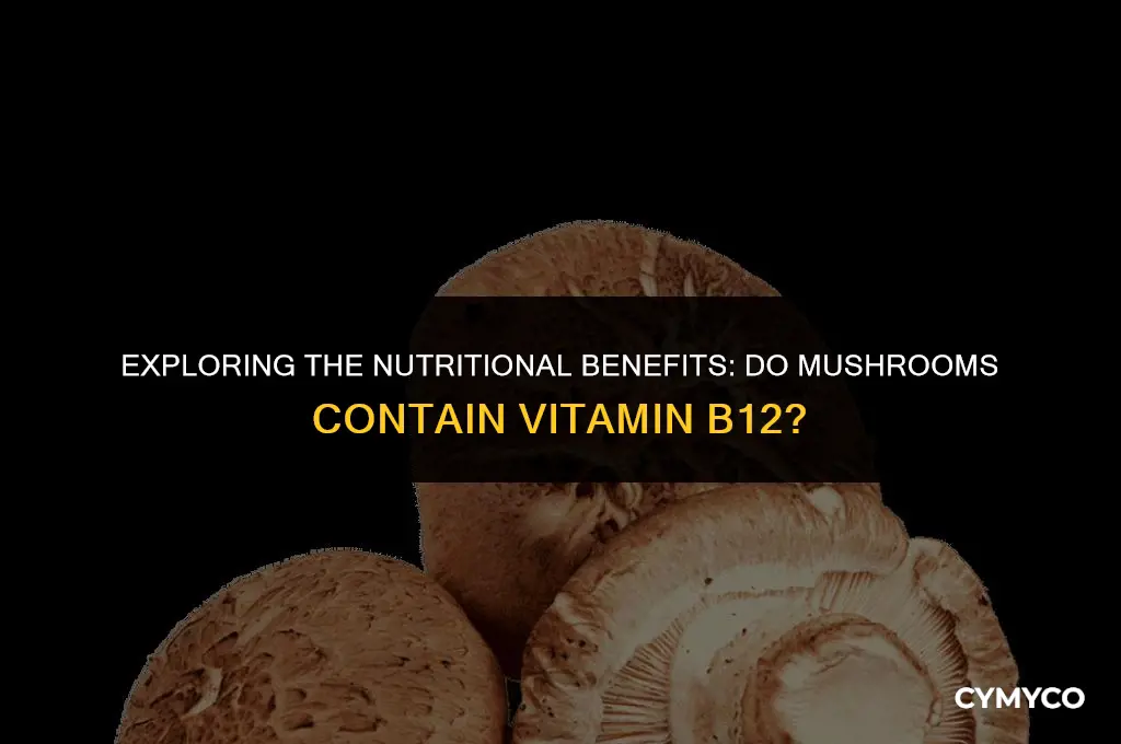 does mushroom contain b12