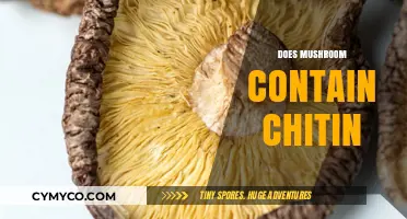 Exploring the Chitin Content in Mushrooms: A Comprehensive Guide