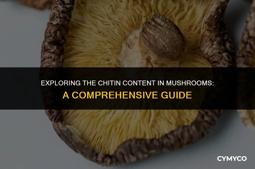 does mushroom contain chitin