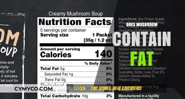 Exploring the Nutritional Profile of Mushrooms: Fat Content Uncovered